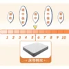 床奇時光 硬度5.5｜100日試睡款