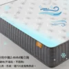 床奇時光 硬度5.5｜100日試睡款